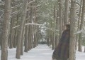 什么是紫微星